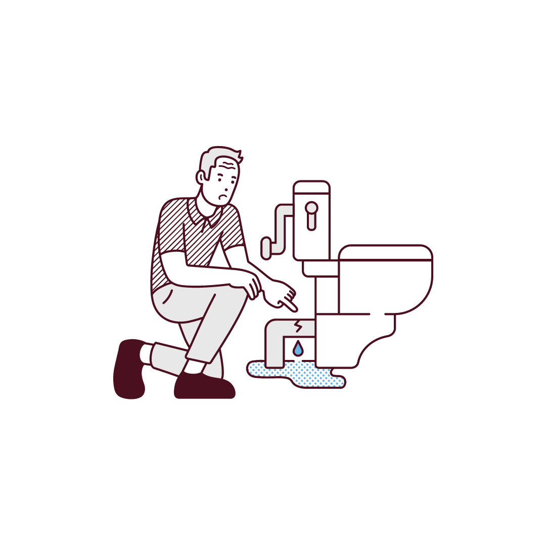 Toilet Leak Fix
