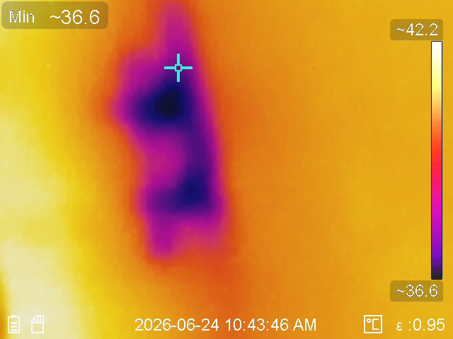 Thermal Imaging Evidence